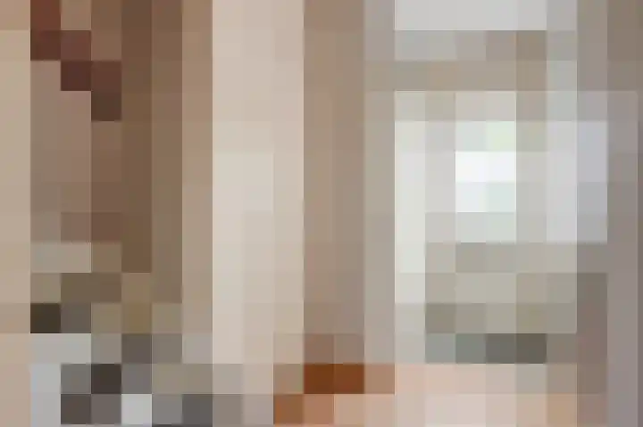 Friese Steen 80 Wijk bij Duurstede thumbnail 5
