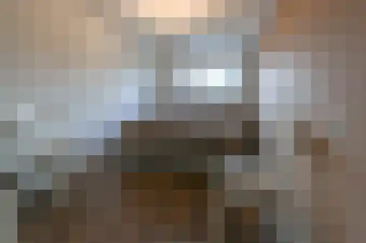 Friese Tjalk 4 Velserbroek thumbnail 19