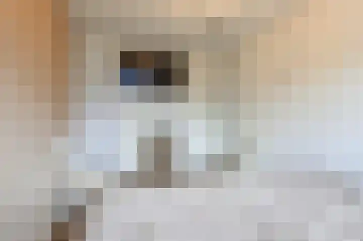 Friese Tjalk 4 Velserbroek thumbnail 20