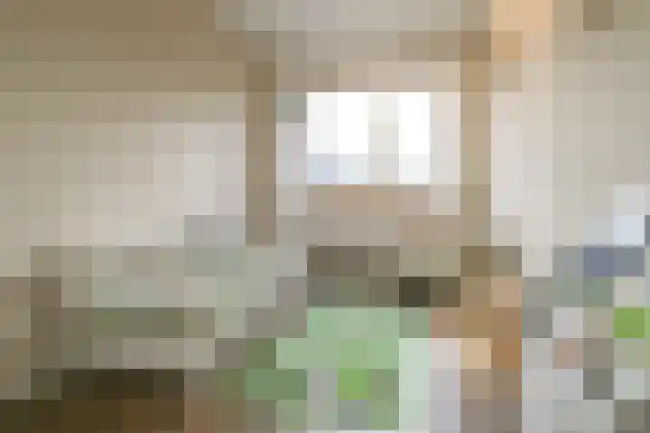 Friese Tjalk 4 Velserbroek thumbnail 21