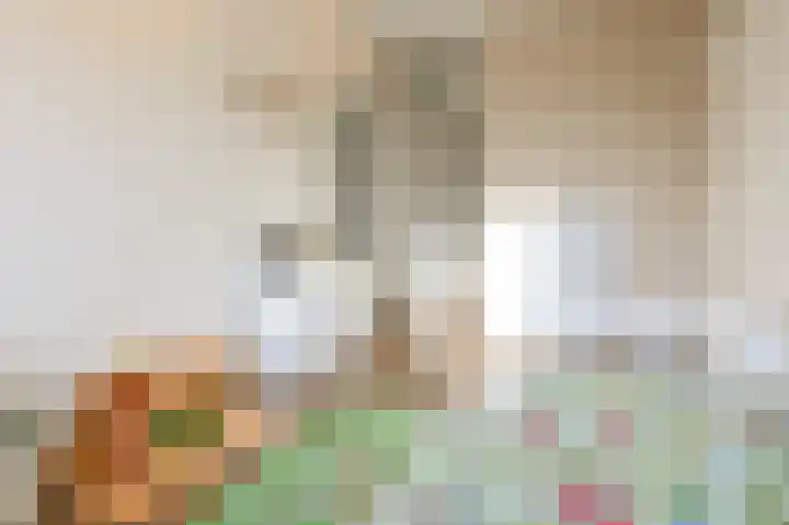 Friese Tjalk 4 Velserbroek thumbnail 22