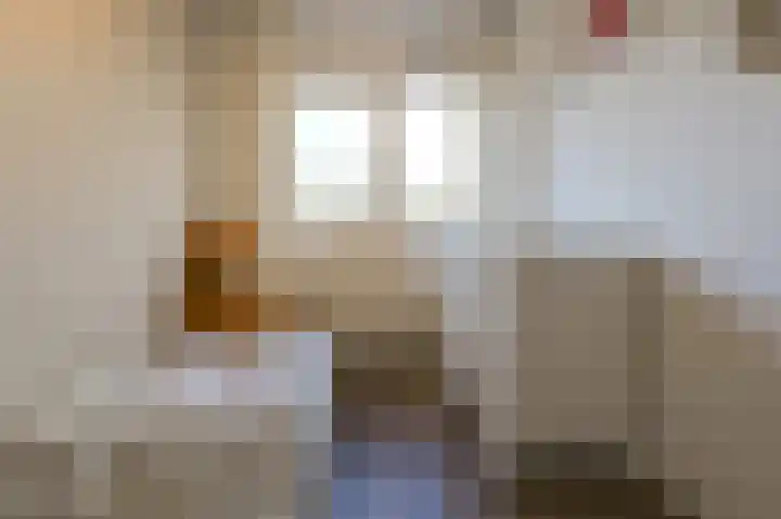 Friese Tjalk 4 Velserbroek thumbnail 23