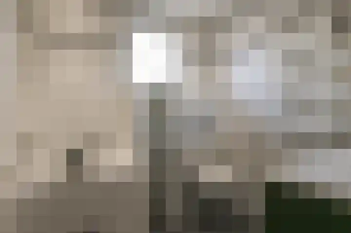 Friese Tjalk 4 Velserbroek thumbnail 25
