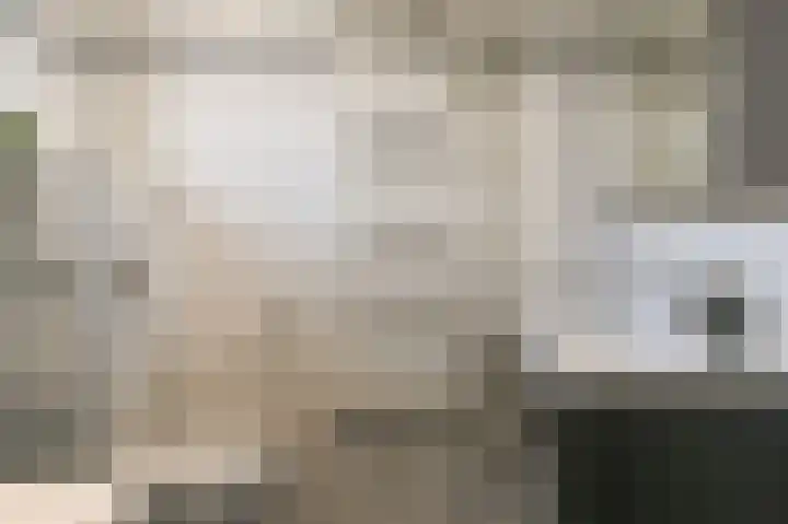 Friese Tjalk 4 Velserbroek thumbnail 27