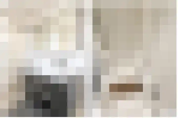 Friese Tjalk 4 Velserbroek thumbnail 28