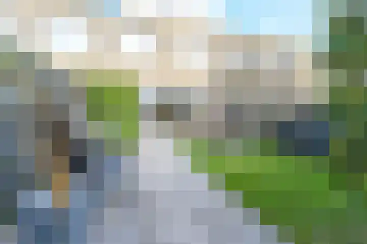 Friese Tjalk 4 Velserbroek thumbnail 40