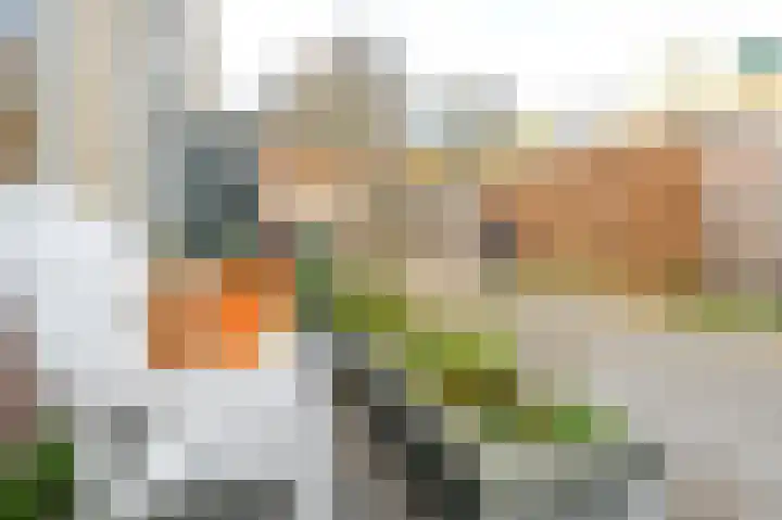 Friese Tjalk 4 Velserbroek thumbnail 45