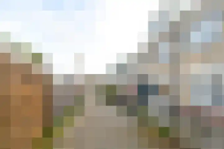 Friese Tjalk 4 Velserbroek thumbnail 47