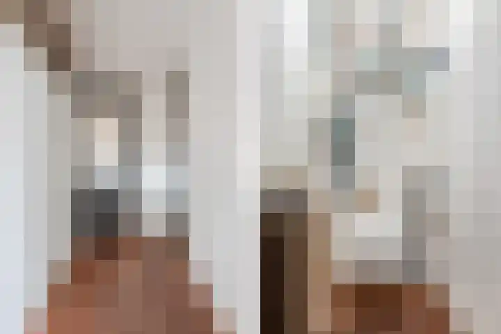 Friesebuurt 2 Oudesluis thumbnail 12