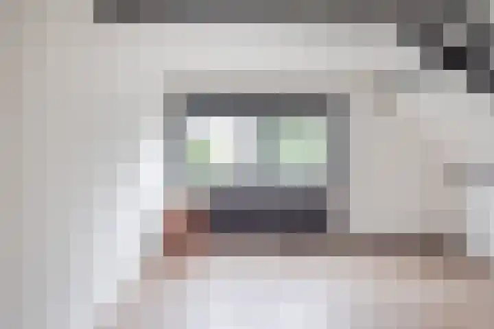 Friesebuurt 2 Oudesluis thumbnail 17