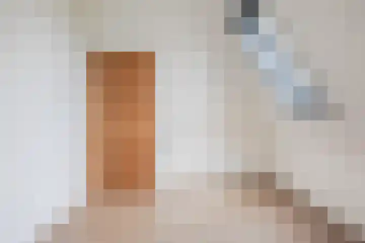 Friesebuurt 2 Oudesluis thumbnail 19
