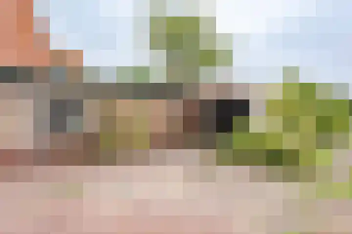 Friesebuurt 2 Oudesluis thumbnail 22