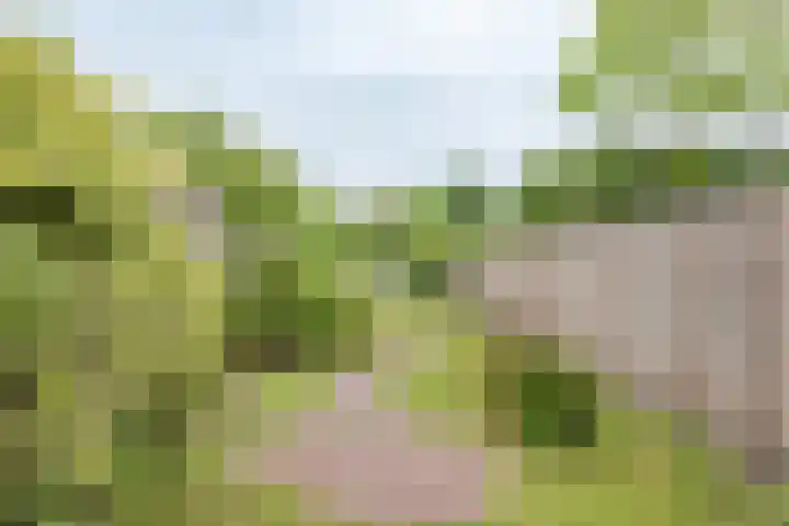 Friesebuurt 2 Oudesluis thumbnail 23