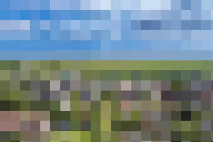 Friesebuurt 2 Oudesluis thumbnail 27