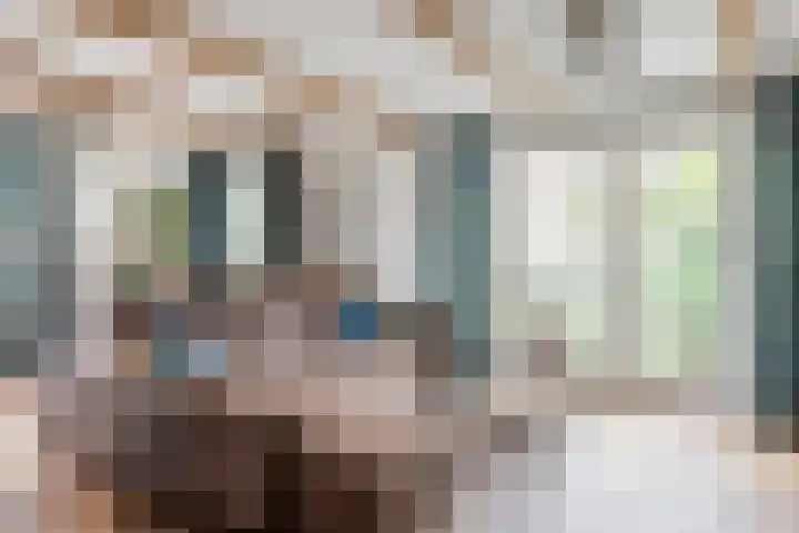 Friesebuurt 2 Oudesluis thumbnail 9