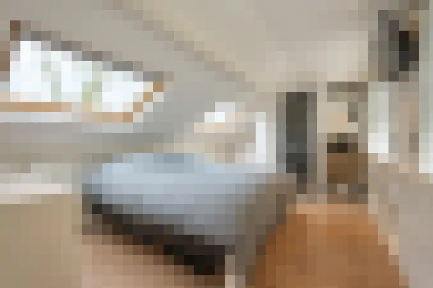 Friesegracht 5 Harderwijk thumbnail 31