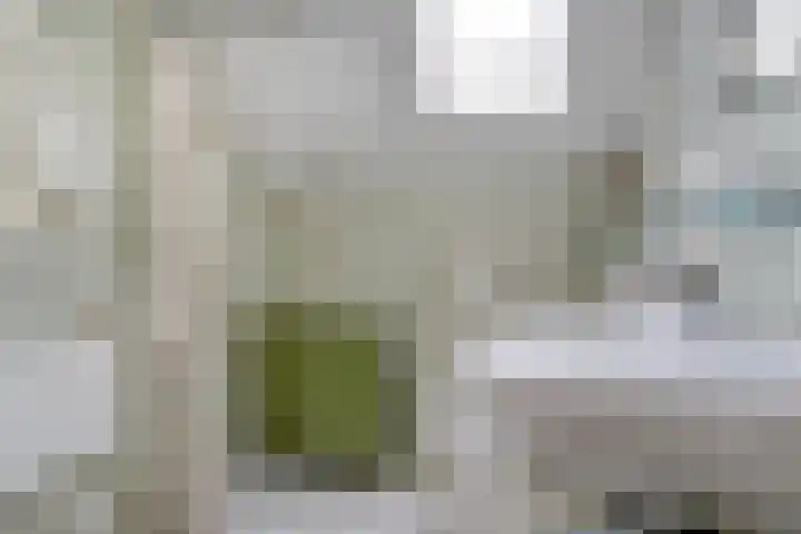 Friesendorpstraat 42 Ommen thumbnail 33