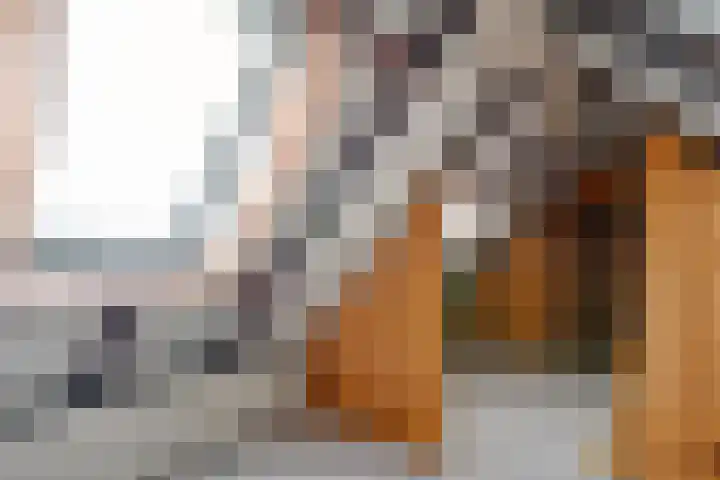Friesendorpstraat 42 Ommen thumbnail 38