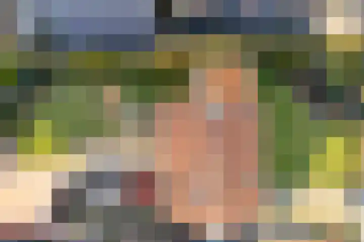 Friesendorpstraat 42 Ommen thumbnail 48