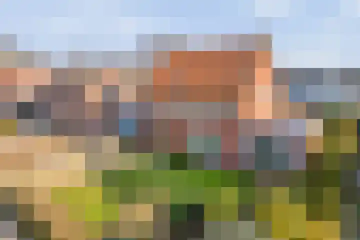 Friesendorpstraat 42 Ommen thumbnail 6