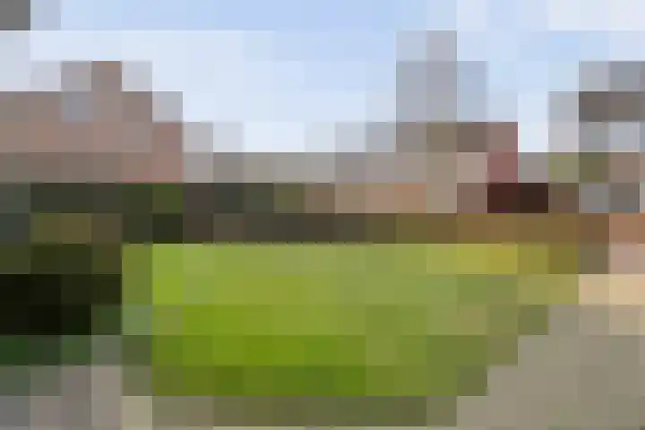 Friesendorpstraat 42 Ommen thumbnail 7