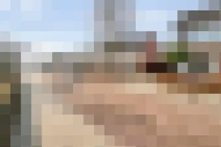 Friesendorpstraat 42 Ommen thumbnail 8