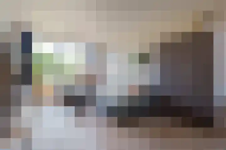 Friesendorpstraat 50 Ommen thumbnail 16