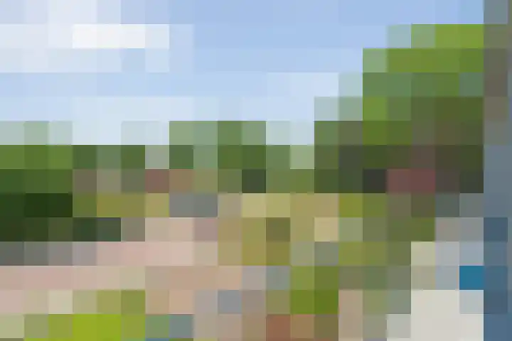 Friesendorpstraat 50 Ommen thumbnail 32