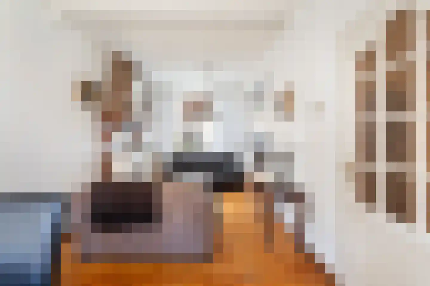 Friesendorpstraat 50 Ommen thumbnail 42
