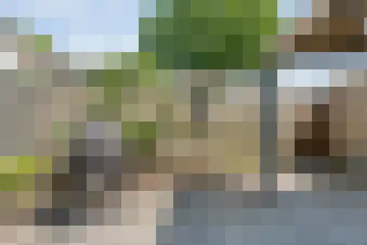 Friesendorpstraat 50 Ommen thumbnail 43