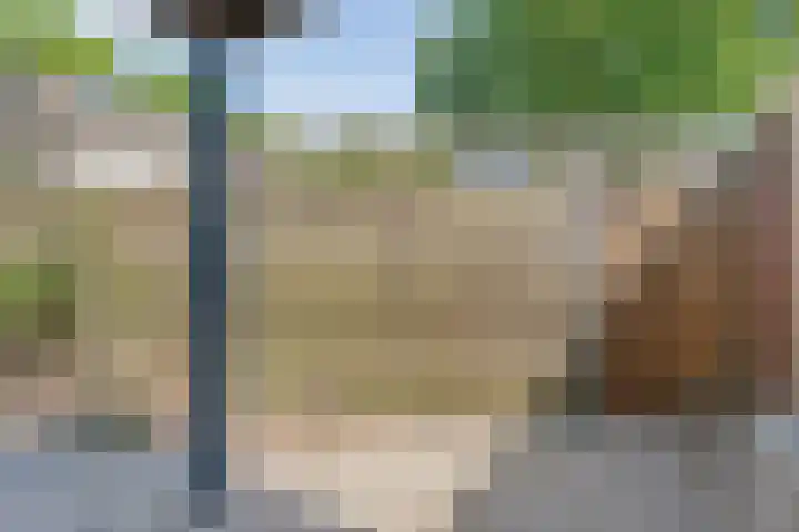 Friesendorpstraat 50 Ommen thumbnail 44