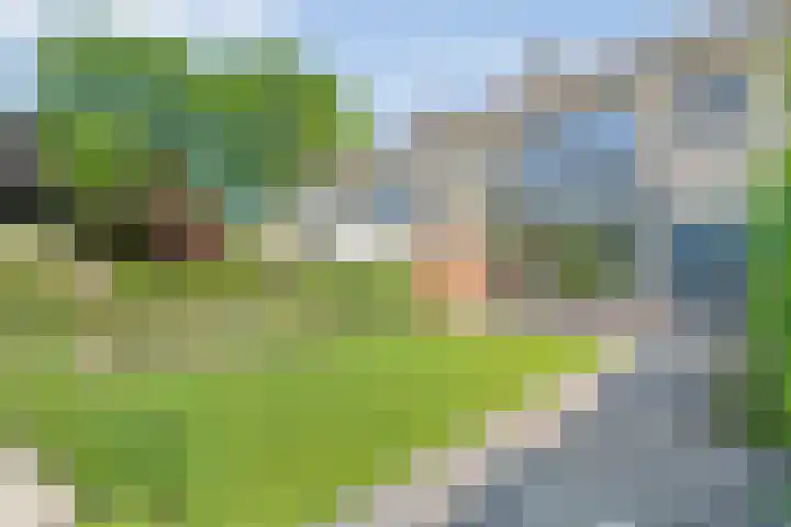 Friesendorpstraat 50 Ommen thumbnail 6