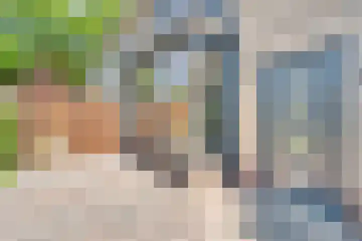 Friesendorpstraat 50 Ommen thumbnail 8