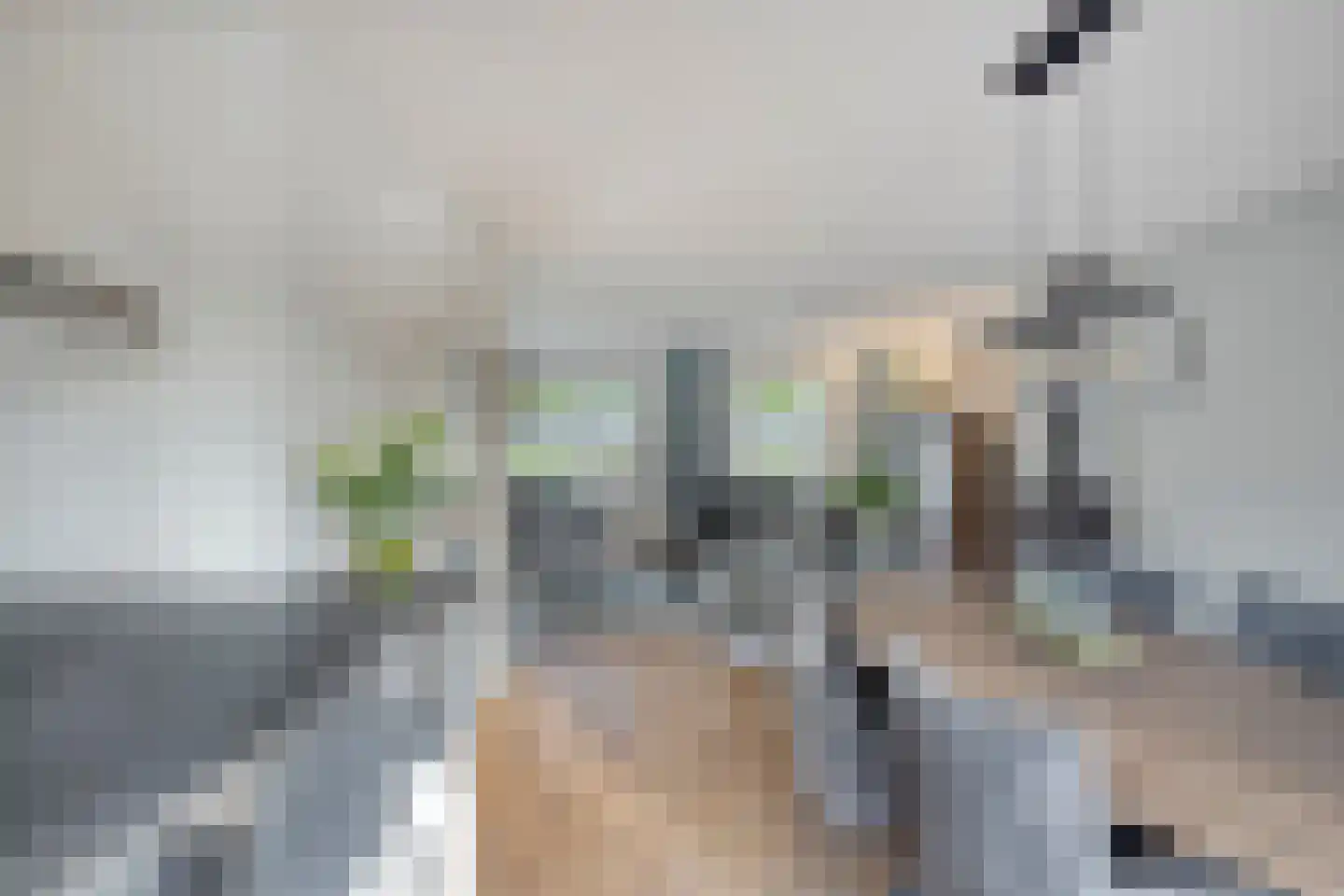 Friesesteeg 2 Rhenen thumbnail 14