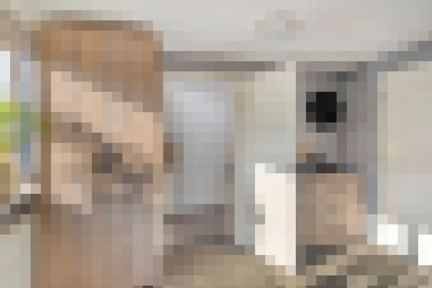 Friesesteeg 2 Rhenen thumbnail 21