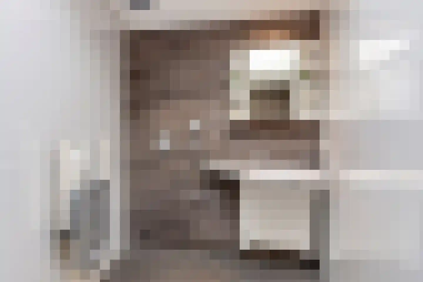 Friesesteeg 2 Rhenen thumbnail 22