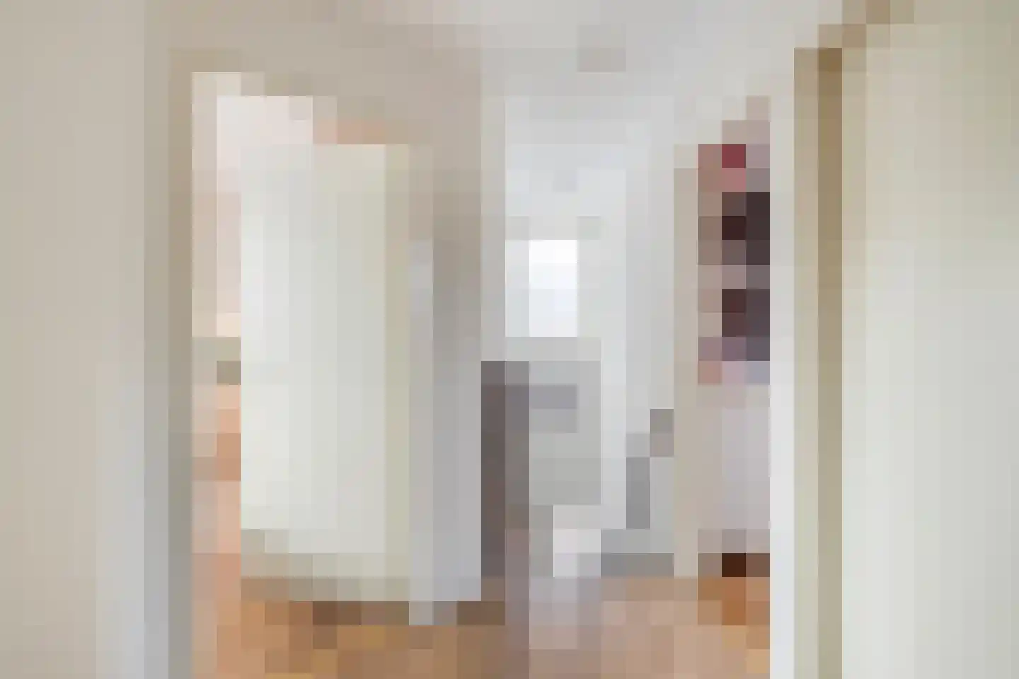 Friesesteeg 2 Rhenen thumbnail 27