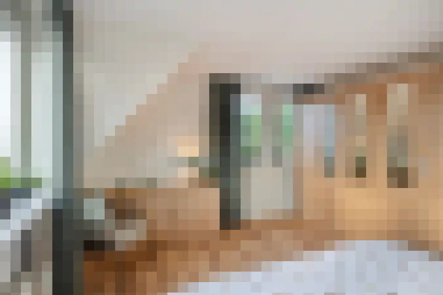 Friesesteeg 2 Rhenen thumbnail 29