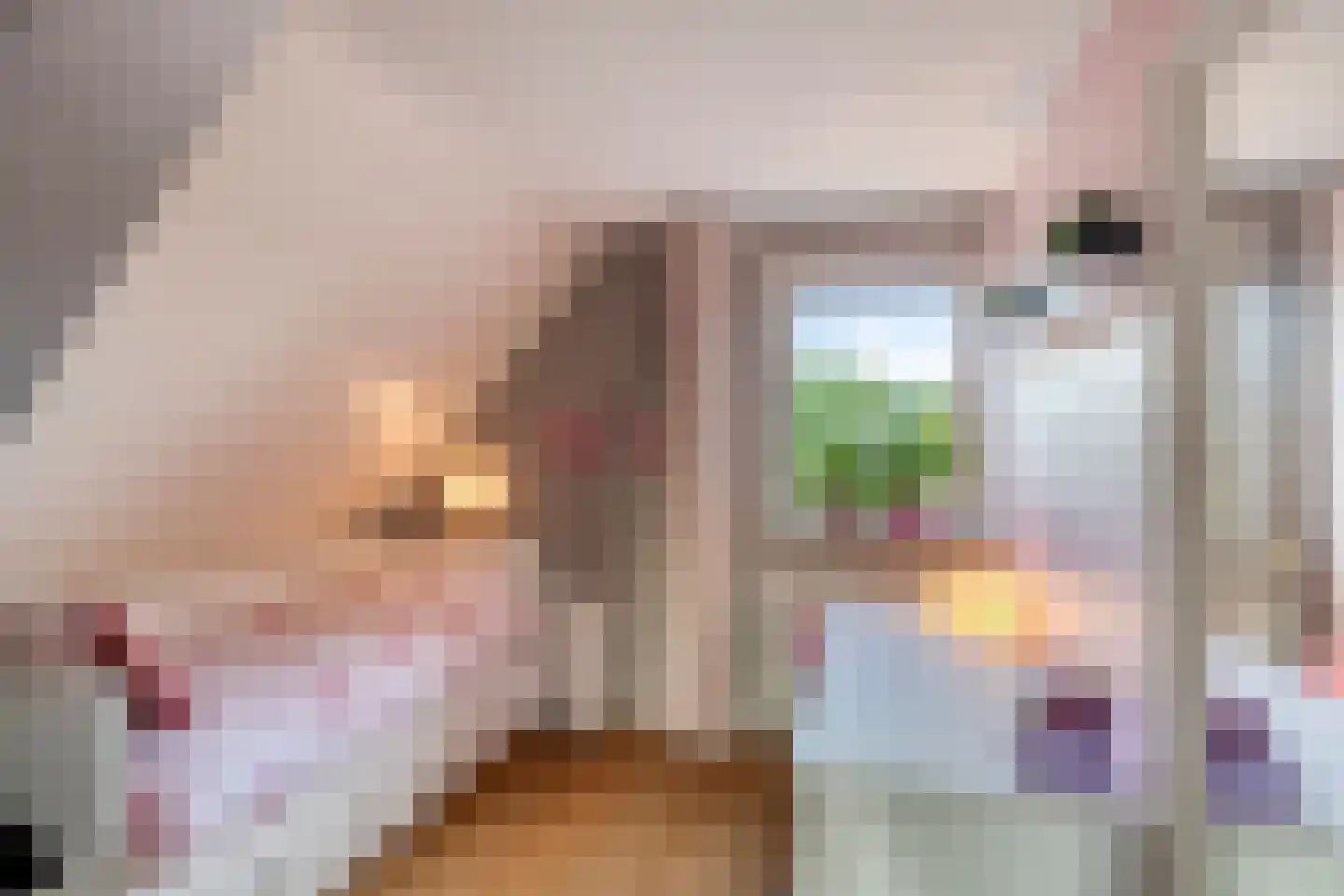 Friesesteeg 2 Rhenen thumbnail 33