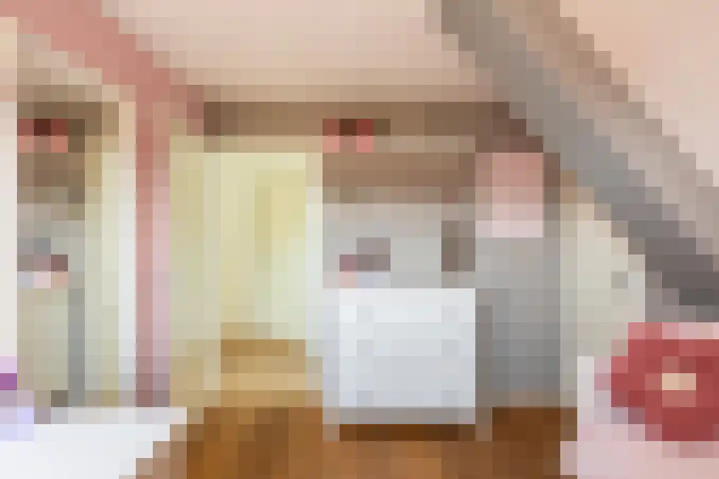 Friesesteeg 2 Rhenen thumbnail 34