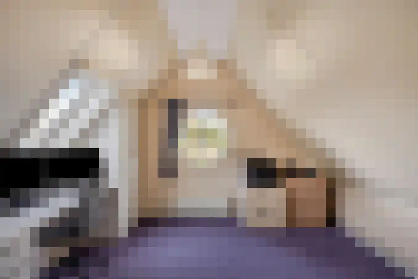 Friesesteeg 2 Rhenen thumbnail 41