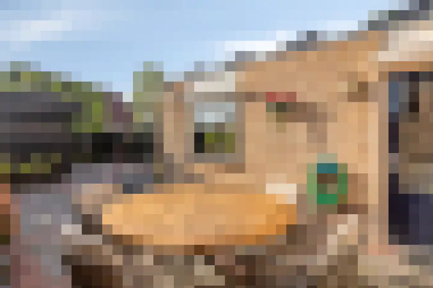 Friesesteeg 2 Rhenen thumbnail 43