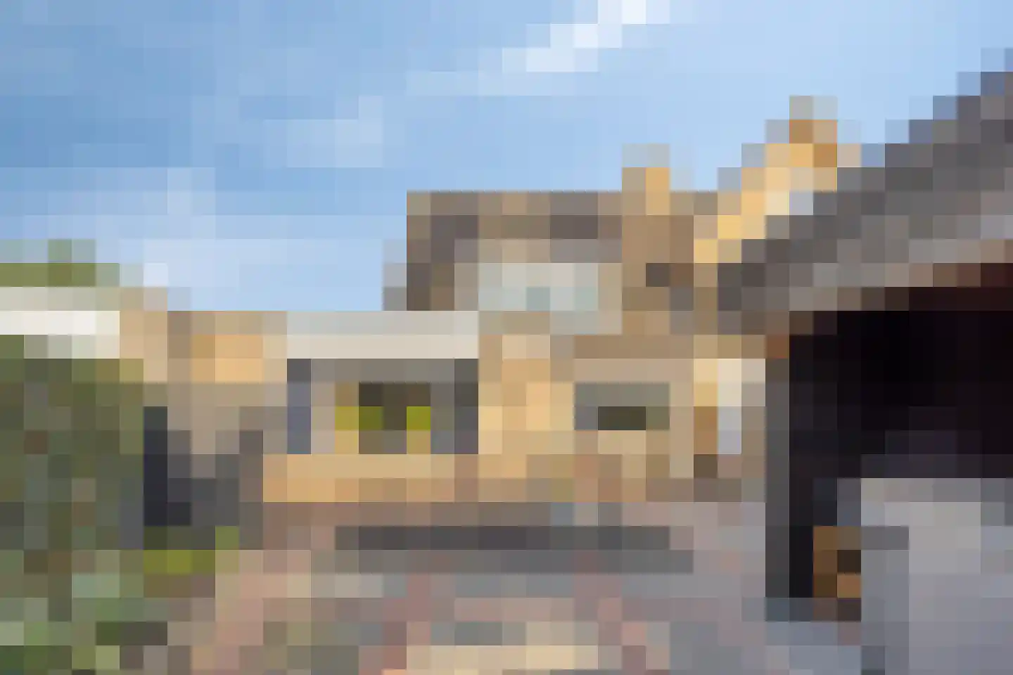 Friesesteeg 2 Rhenen thumbnail 6