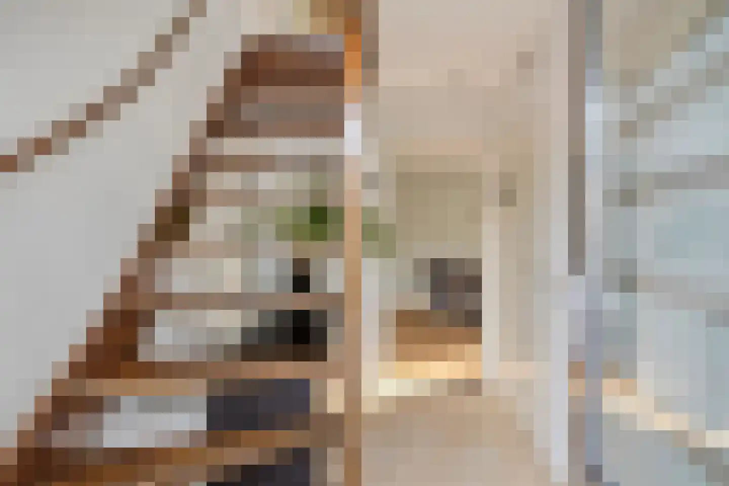 Friesesteeg 2 Rhenen thumbnail 8