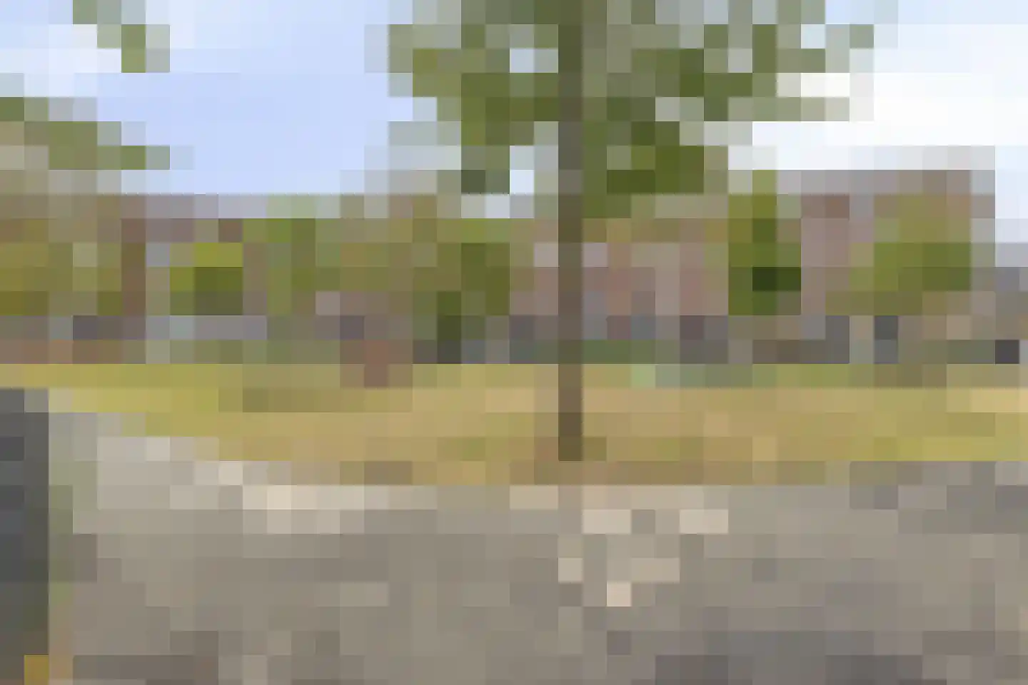 Friesestraat 29 Rotterdam thumbnail 25