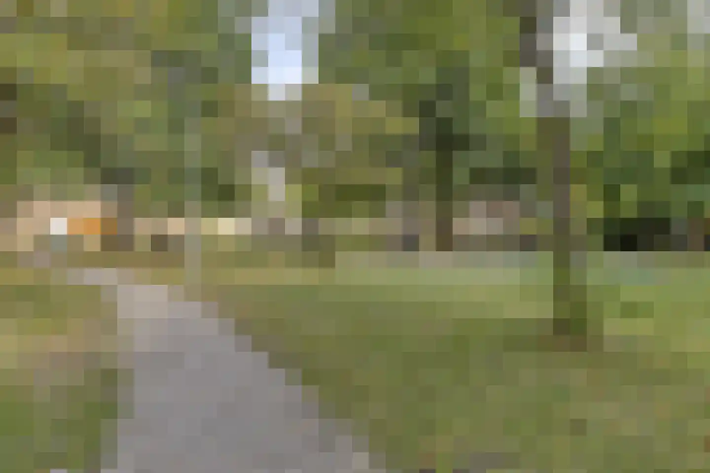 Friesestraat 29 Rotterdam thumbnail 28