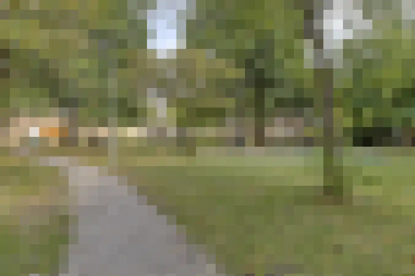 Friesestraat 29 Rotterdam thumbnail 30