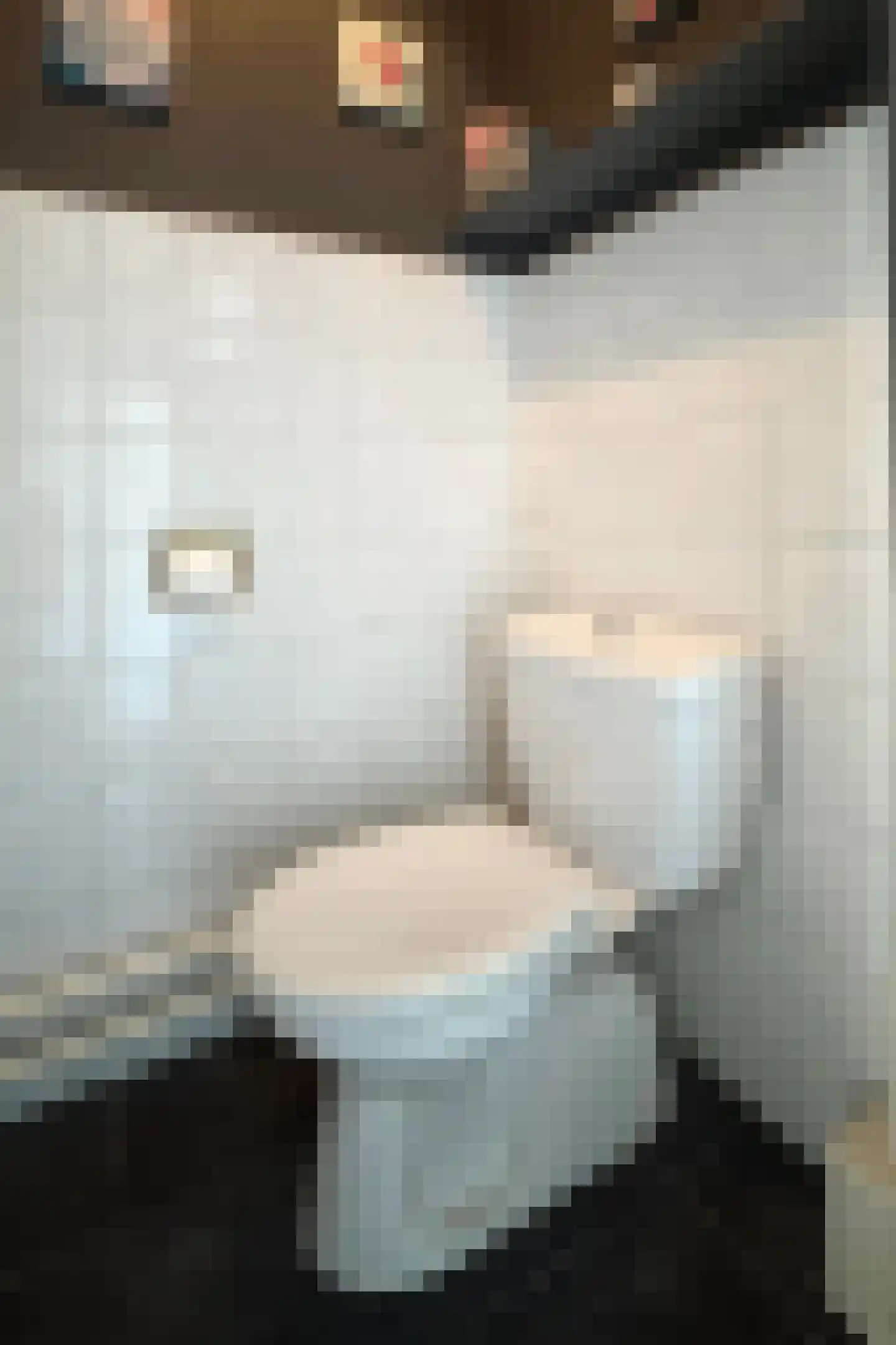 Friesestraat 3 Heijningen thumbnail 10