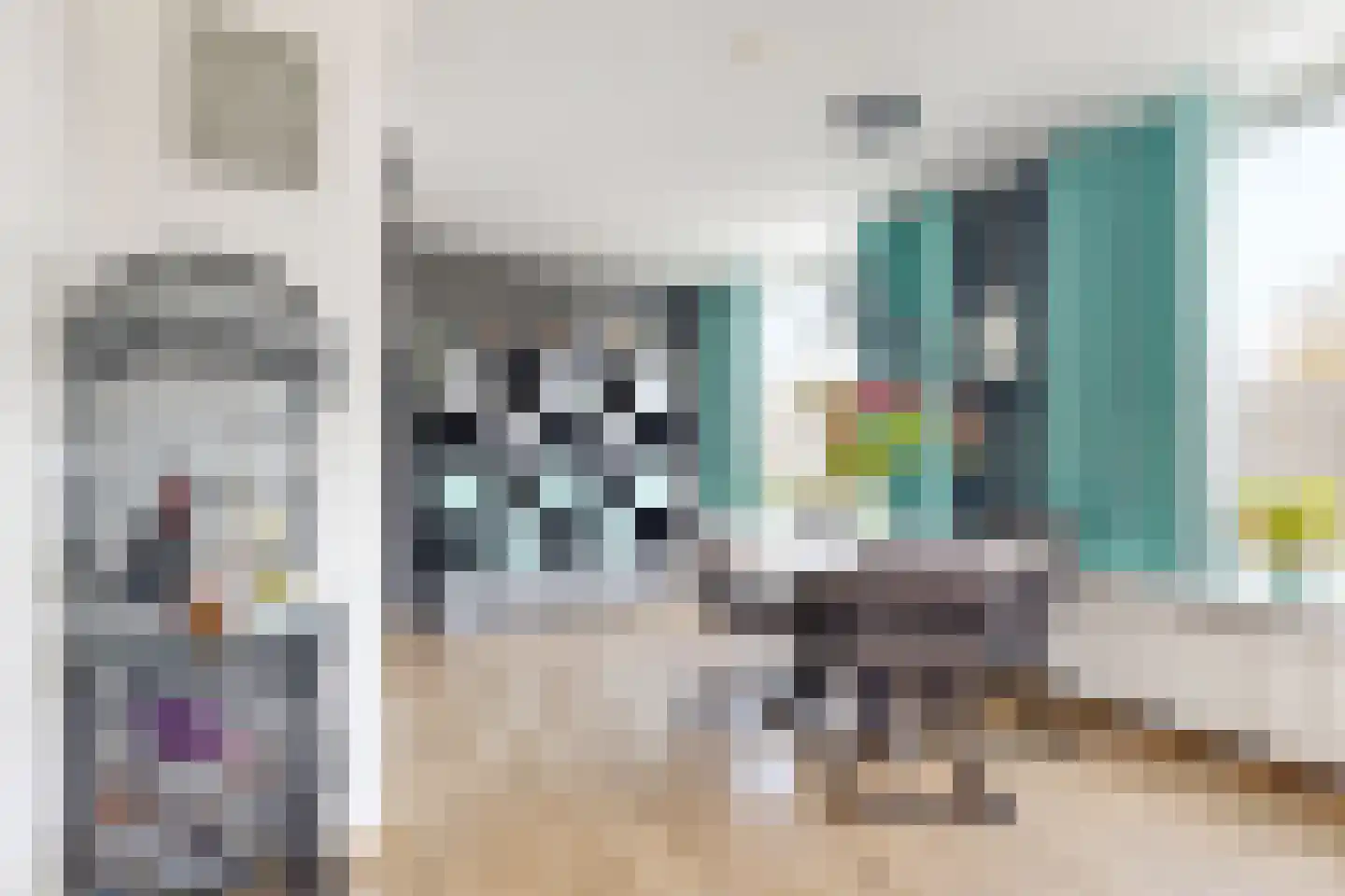 Friesestraat 3 Heijningen thumbnail 11