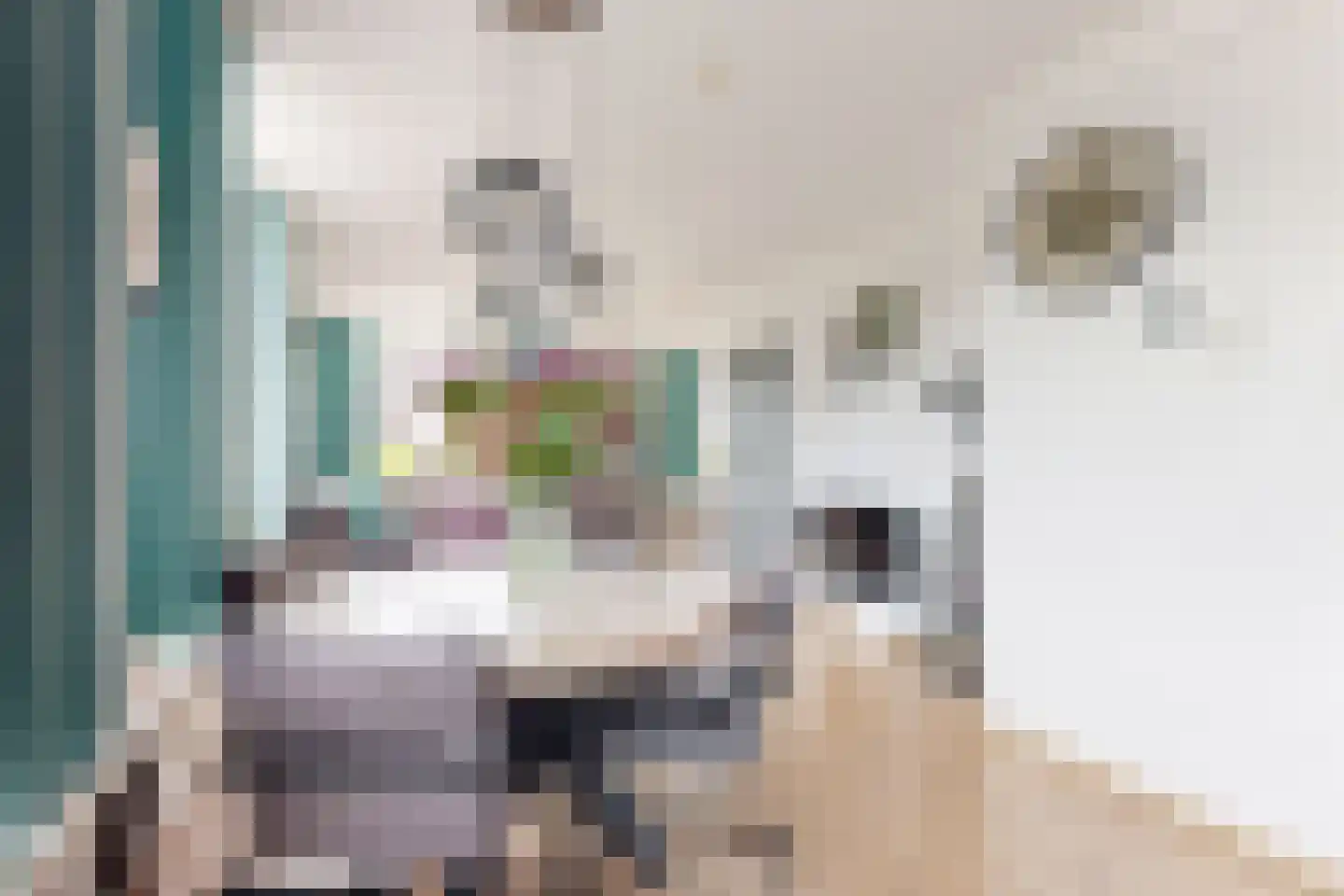 Friesestraat 3 Heijningen thumbnail 15